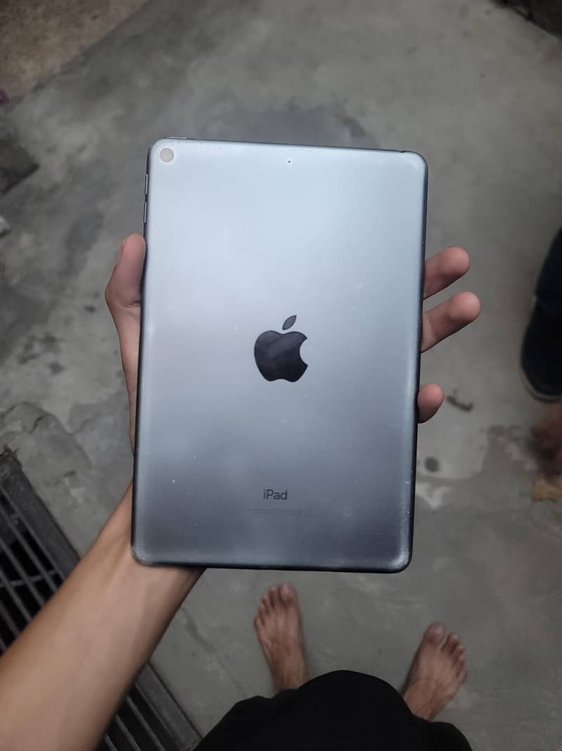 Ipad mini 5 0