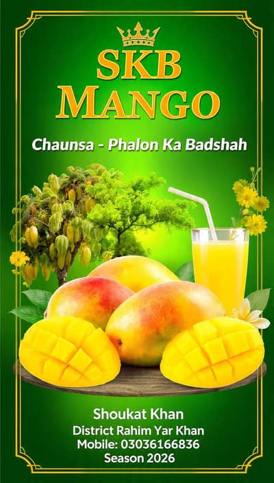 mango 