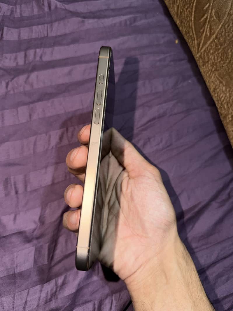 Apple iPhone 16 Pro Max 1