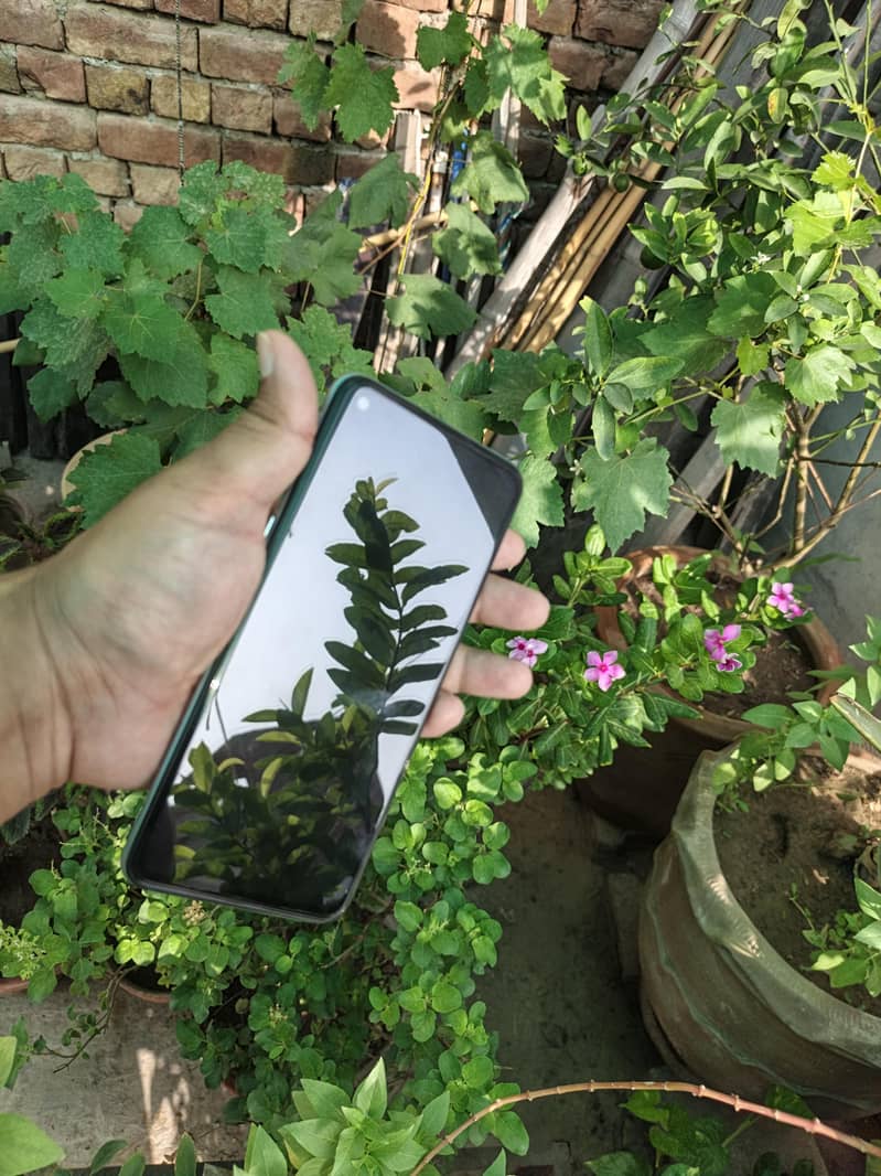 OPPO A96 2