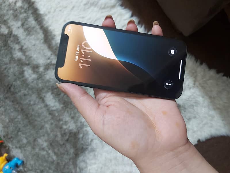 Apple iPhone 12 mini 1