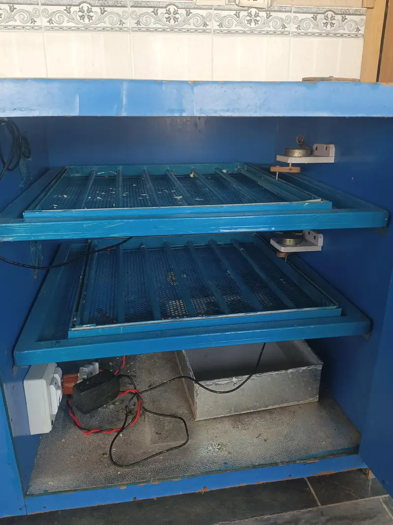 “Egg Incubator Machine Automatic — photo 2