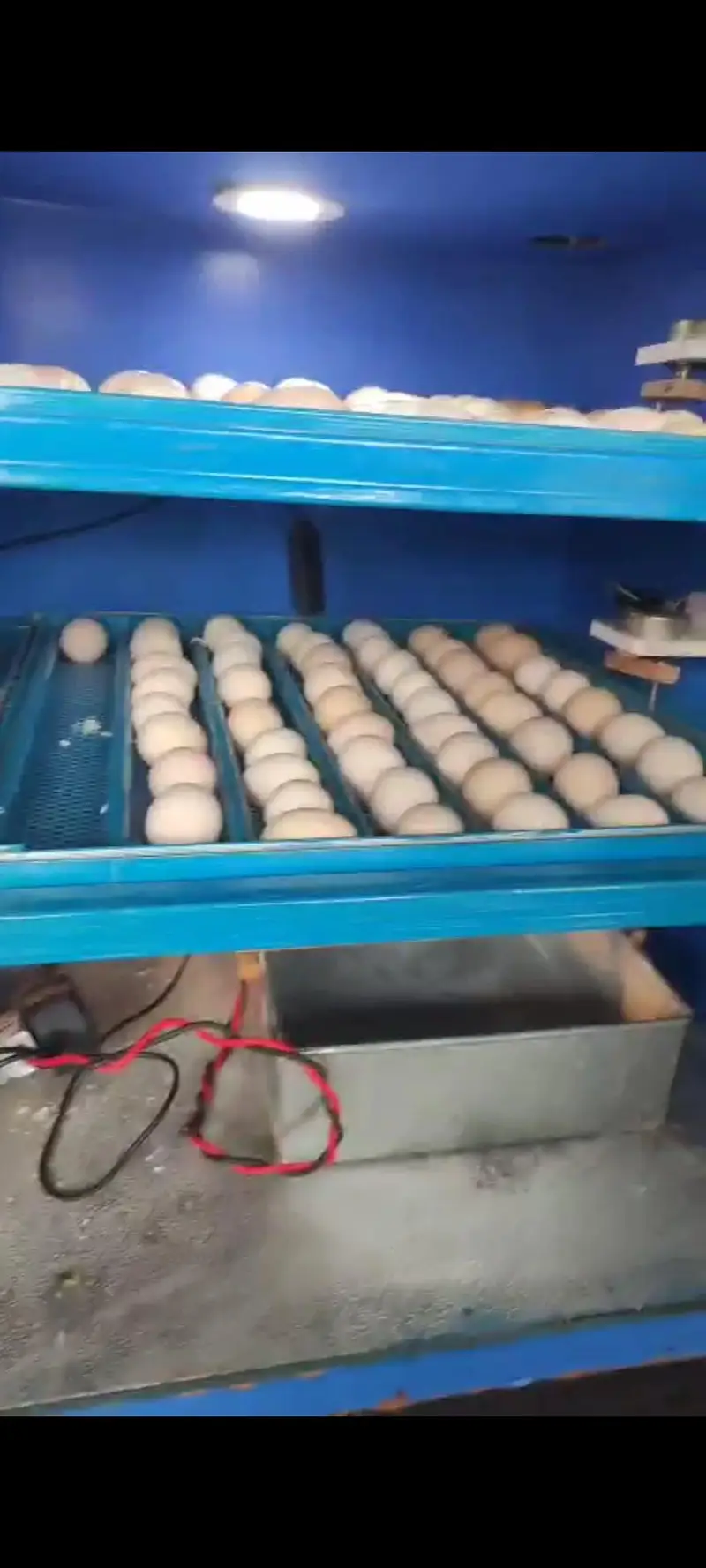 “Egg Incubator Machine Automatic — photo 3