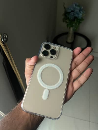 Apple iPhone 13 Pro Max