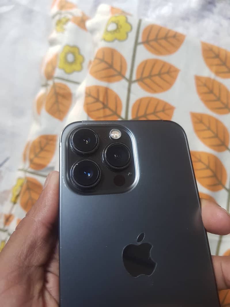 iPhone 13 Pro 0