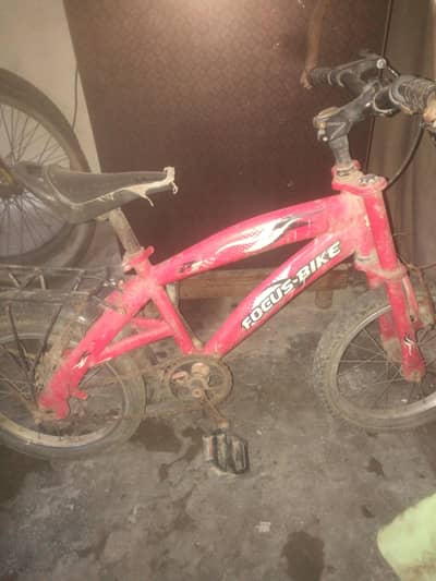 Focus Bike