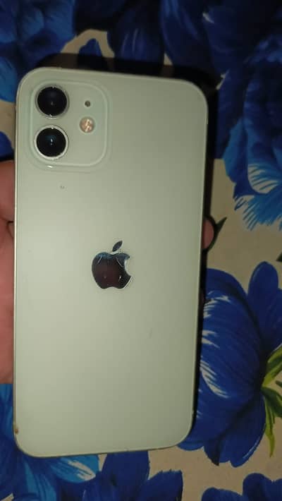 I Phone 12 pista clor luch condition 8/10