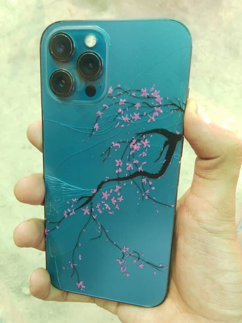 Apple iPhone 12 Pro Max 1