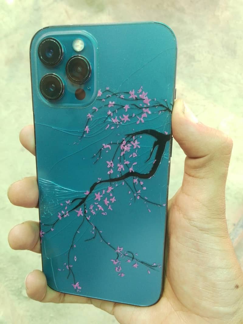 Apple iPhone 12 Pro Max 2