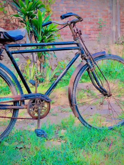cycle for sale 03404273256 watsap