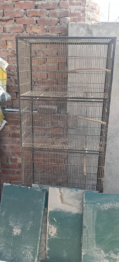 Birds Cage