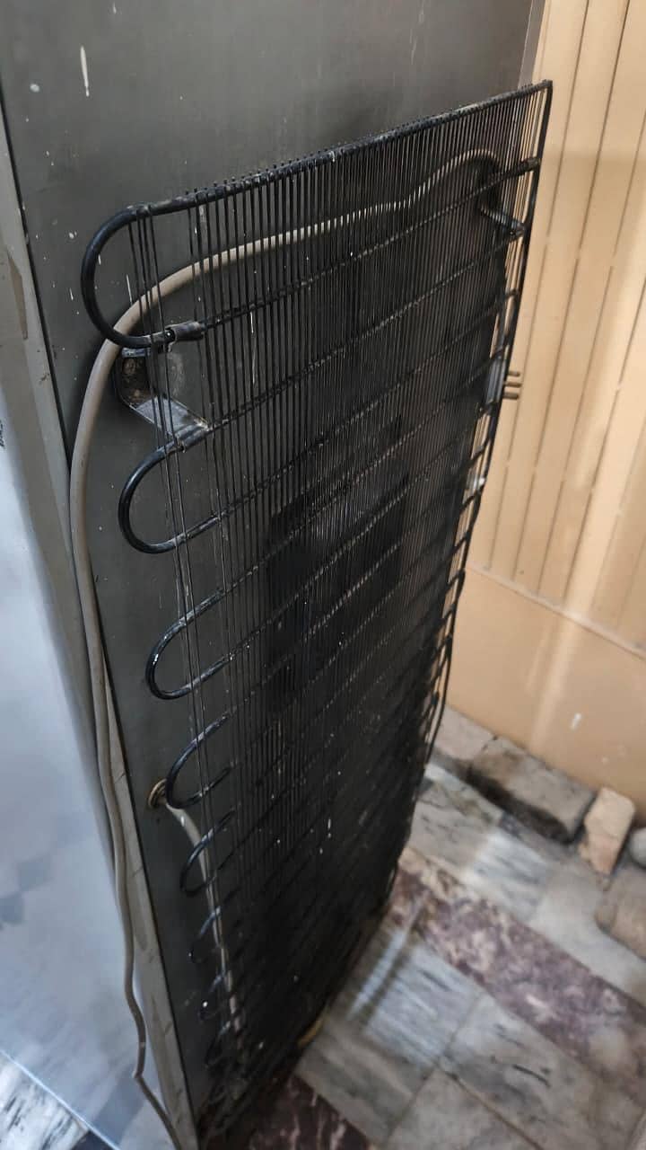 Pell refrigerator 3