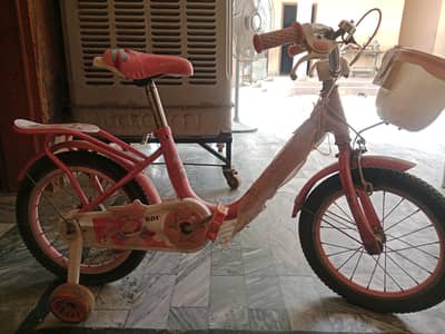 bicycle sale