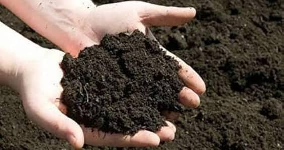 Pure Organic Buffalo Manure Fertilizer for Sale