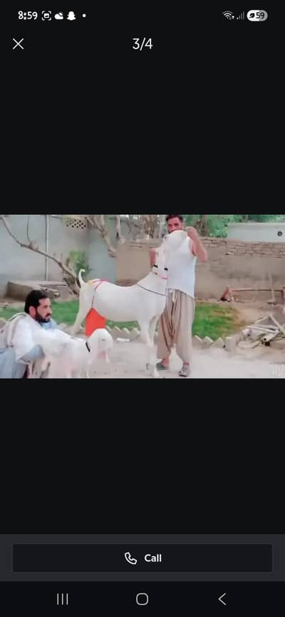 bakri sail scam alert