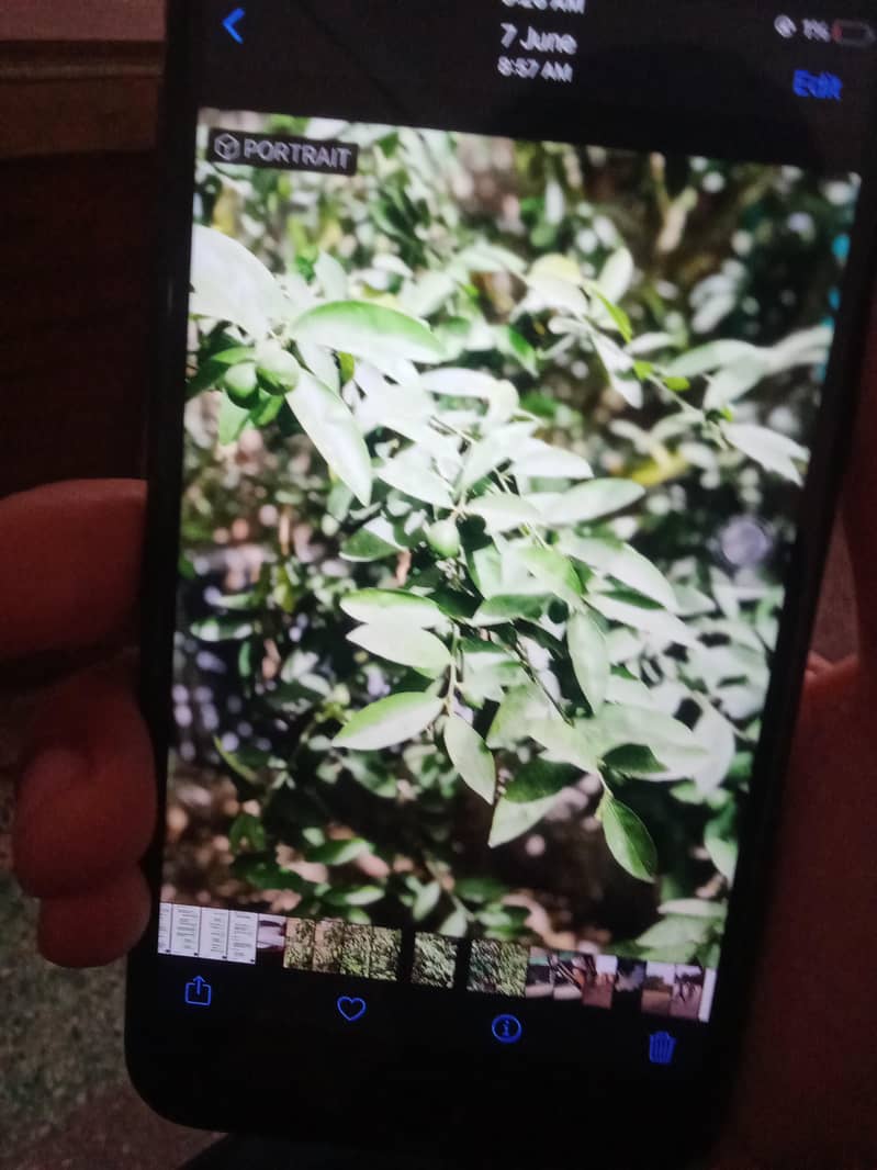 Apple iPhone 7 Plus 4