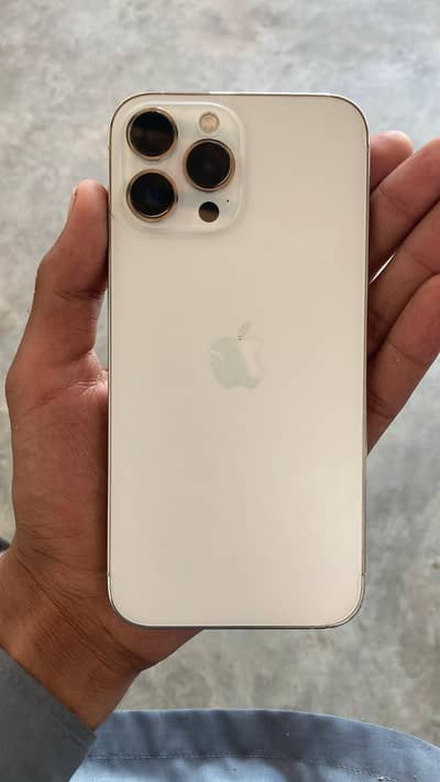 Apple iPhone 13 Pro Max