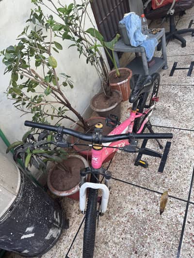 Slightly Used Cycle for Sale