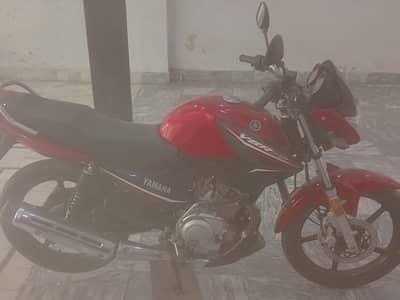 Yamaha YBR 125 2022 Gunuine