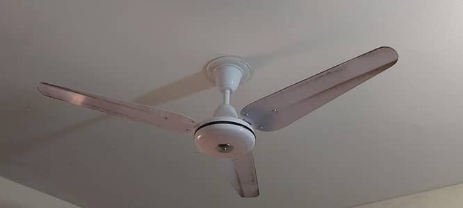 Celling fan for Sale