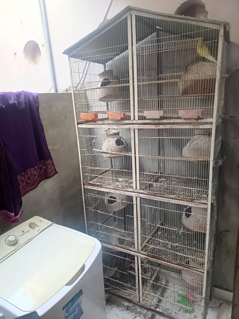 cages 0