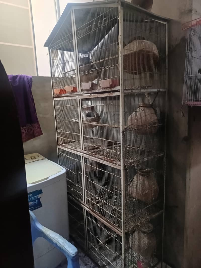 cages 1