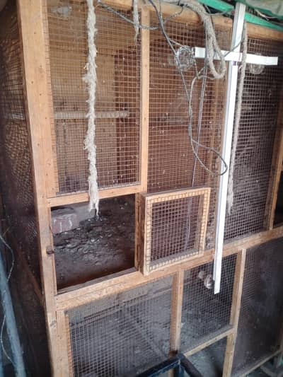 cage 5by5 almost