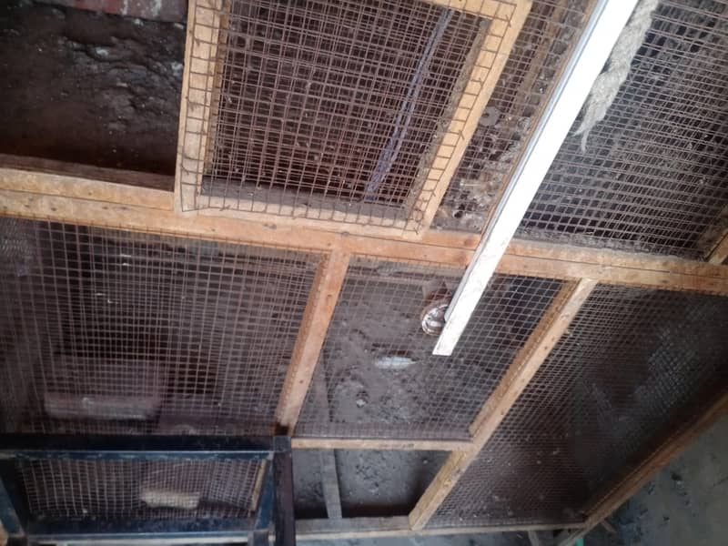 cage 5by5 almost 2