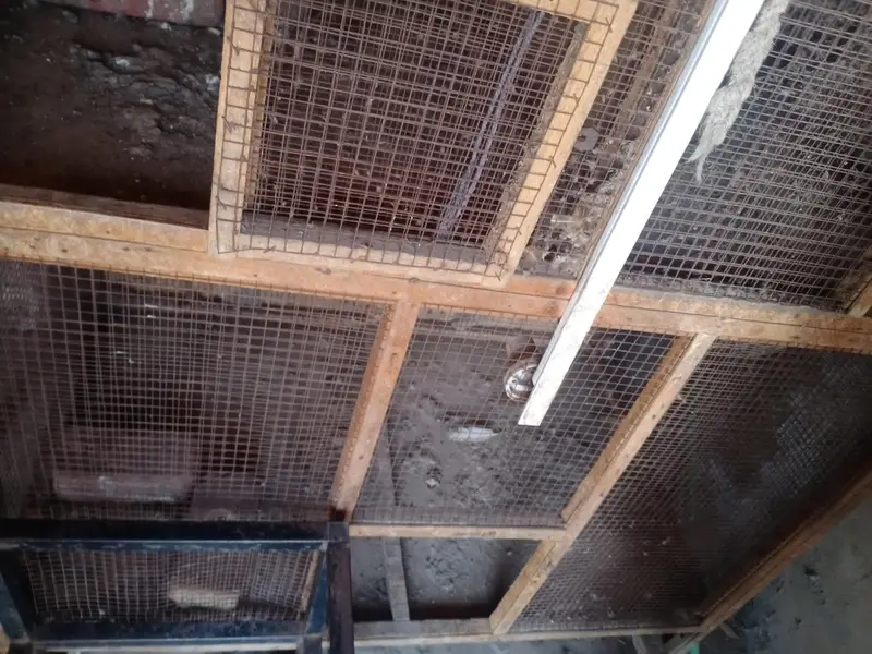 cage 5by5 almost — photo 3