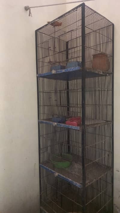 Heavy iron cage  best used for hens and parrots
