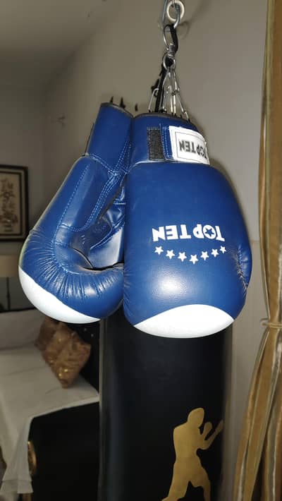 punching bag with gloves and chains