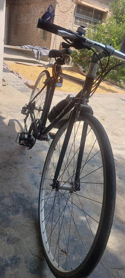 Sports cycle
