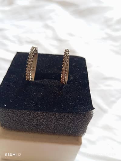 Elegant Silver Tone Stud Earrings