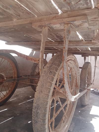 for sell 03162637031
