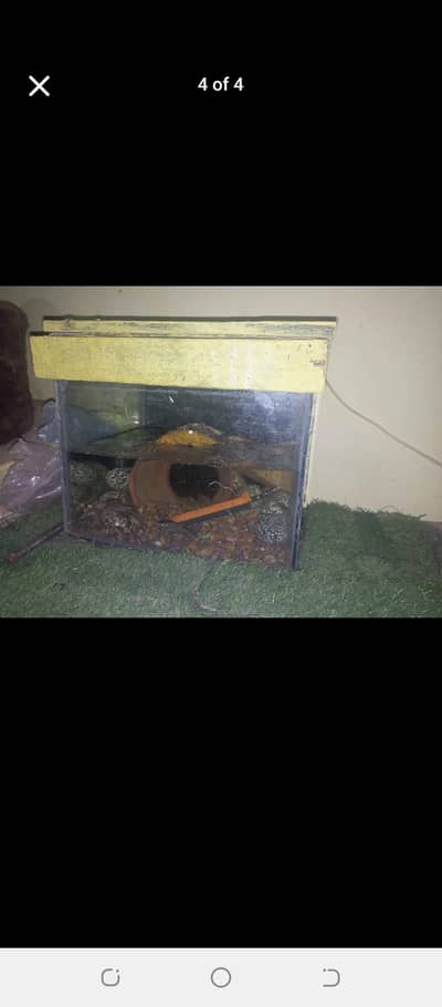 aquarium 1ft