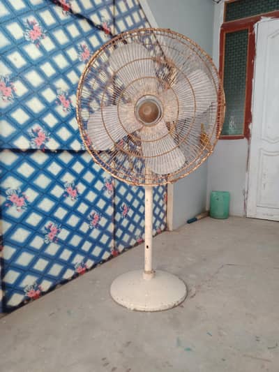 pak fan