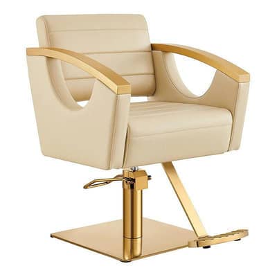 Parlour Chair/Trolley/Massage Bed/Pedicure unit/Barber/Saloon Chair