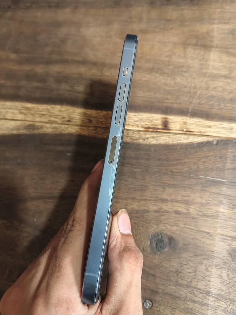 iPhone 13 Pro Max 1
