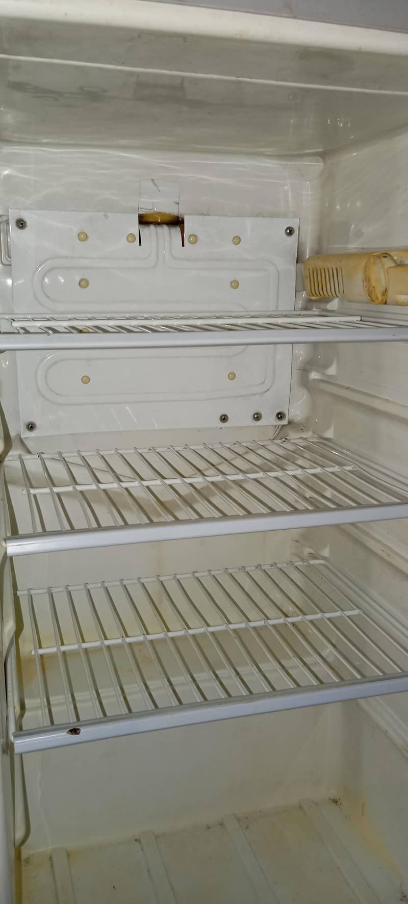 fridge 2