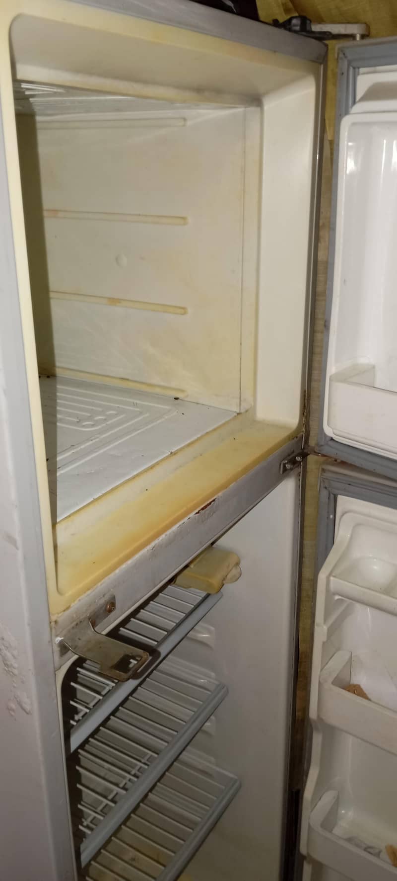 fridge 3