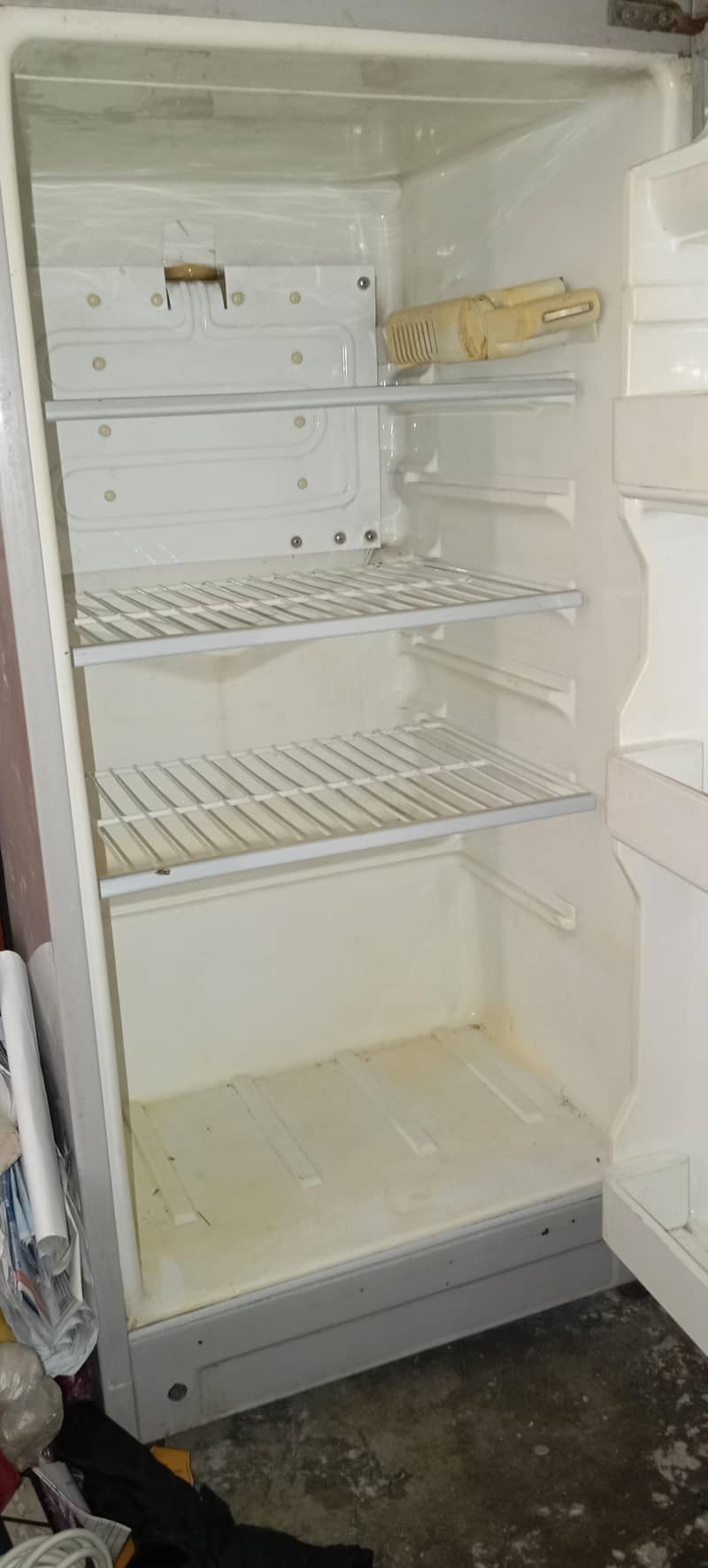 fridge 6