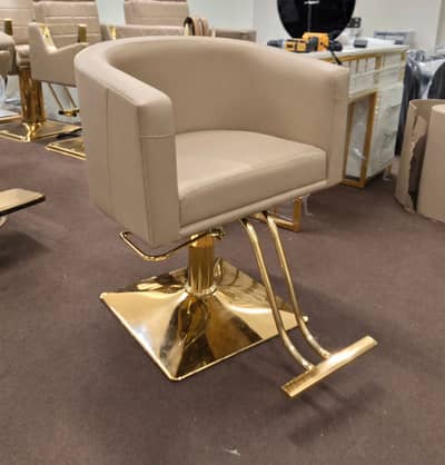 Parlour Chair/Trolley/Massage Bed/Pedicure unit/Barber/Saloon Chair