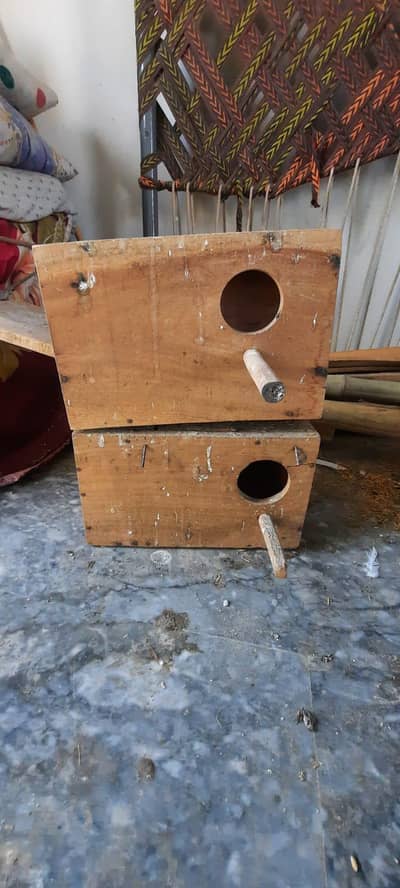 breeding boxes 2 and 4 kujy :333:84:82:008: