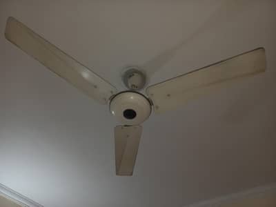 Running Ceiling Fan 56 inches Pak Fan