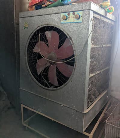 Air Cooler, tv, DVD Player , lightin Fanoos