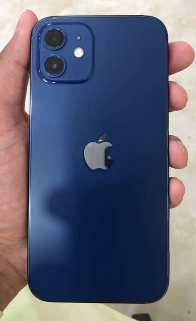 12 256 GB
