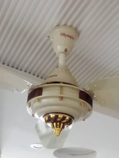 Olympia 56" copper winding,