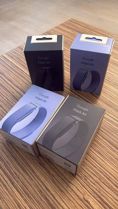 Google Fitbit Air