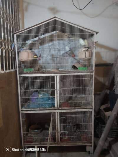 cage1