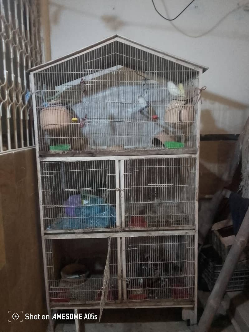 cage1 0